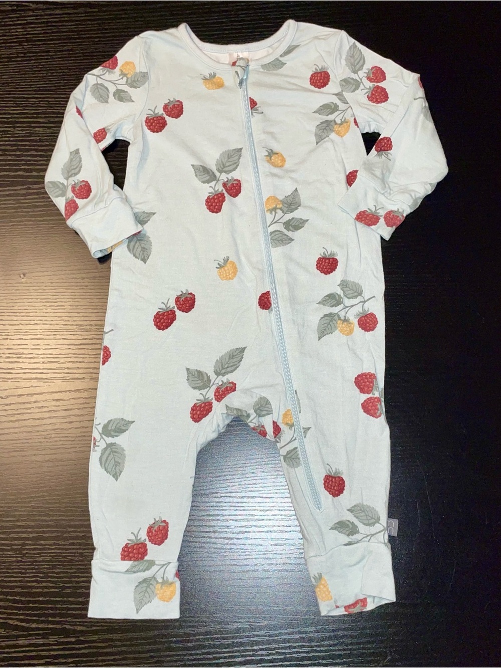 Baby Zip Romper in Pale Blue with Red & Yellow Berry Print
